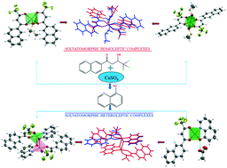 Graphical abstract: Post-synthetic modification of supramolecular assemblies of β-diketonato Cu(ii) complexes: comparing and contrasting the molecular topology by crystal structure and quantum computational studies