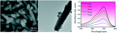 Graphical abstract: Optimizing crystal characterization of WO3–ZnO composites for boosting photoactive performance via manipulating crystal formation conditions