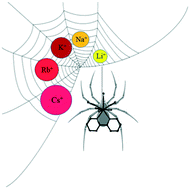 Graphical abstract: Unusual structural changes going from Li+ to Cs+ in [W(CN)6(bpy)]2− ion salts: the Na+ case