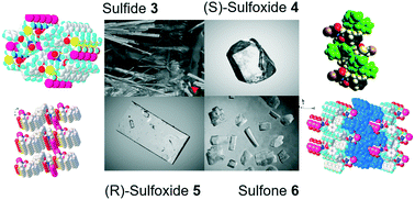 Graphical abstract: A systematic investigation on the impact of the level of oxidation at sulfur and the configuration of R/S-sulfoxide on the solid structure
