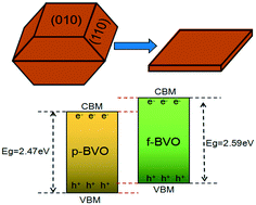 Graphical abstract: Benefits on photocarrier transfer from the transition of 3D to a 2D morphology