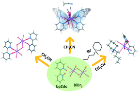 Graphical abstract: 2,2′-Bipyridyl-1,1′-dioxide based bismuth(iii) bromide hybrids: studies on crystal structure and luminescence