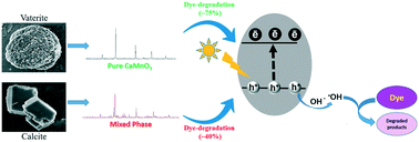 Graphical abstract: Efficient solid-state synthesis of biomineralized vaterite-derived pure CaMnO3 perovskite for effective photocatalysis