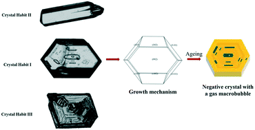 Graphical abstract: Formation mechanism of liquid inclusions in dicumyl peroxide crystals