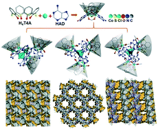 Graphical abstract: Assembly of {Co14} nanoclusters from adenine-modified Co4-thiacalix[4]arene units