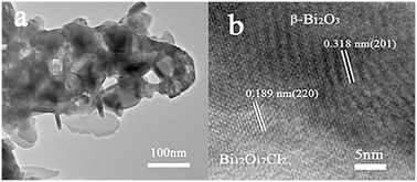 Graphical abstract: 2D/1D Bi12O17Cl2/β-Bi2O3 heterojunction photocatalysts with boosted photocatalytic performance