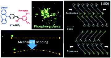 Graphical abstract: Mechanophotonic aspects of a room temperature phosphorescent flexible organic microcrystal