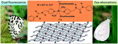 Graphical abstract: Intrinsic structural features of coordination polymers make an impact on dye selectivity