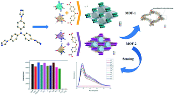Graphical abstract: TIPA-ligand-based luminescent Cd(ii) organic frameworks as an outstanding sensor for detecting Fe3+ in an aqueous medium