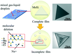 Graphical abstract: Study on the catalyst effect of NaCl on MoS2 growth in a chemical vapor deposition process