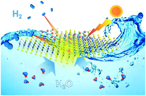 Graphical abstract: 2D WS2 co-catalysts induce the growth of CdS and enhance the photocatalytic performance