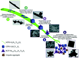 Graphical abstract: Morphogenesis mechanisms in the hydrothermal growth of lead-free BCZT nanostructured multipods