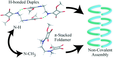 Graphical abstract: Hierarchy of π-stacking determines the conformational preferences of bis-squaramates