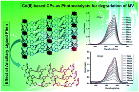 Graphical abstract: New Cd(ii) coordination polymers bearing Y-shaped tricarboxylate ligands as photocatalysts for dye degradation