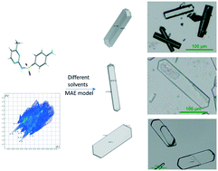 Graphical abstract: Effect of the solvent on the morphology of sulfamerazine crystals and its molecular mechanism