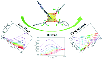 Graphical abstract: Modulating the slow magnetic relaxation of a mononuclear Dy(iii) single-molecule magnet via a magnetic field and dilution effects