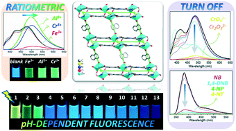 Graphical abstract: A highly stable Zn coordination polymer exhibiting pH-dependent fluorescence and as a visually ratiometric and on–off fluorescent sensor