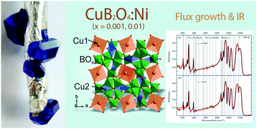Graphical abstract: Metastable growth and infrared spectra of CuB2O4:Ni single crystals