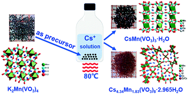 Graphical abstract: Towards new cesium containing manganese vanadates via a precursor method
