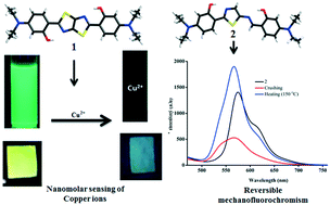 Graphical abstract: Symmetrical and unsymmetrical thiazole-based ESIPT derivatives: the highly selective fluorescence sensing of Cu2+ and structure-controlled reversible mechanofluorochromism