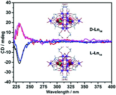 Graphical abstract: Two pairs of chiral lanthanide–oxo clusters Ln14 induced by amino acid derivatives