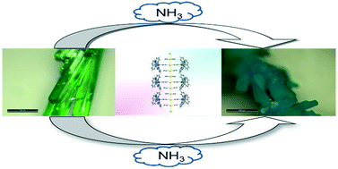 Graphical abstract: Crystal engineering of aurophilic supramolecular architectures and coordination polymers based on butterfly-like copper–dicyanoaurate complexes: vapochromism, P–T behaviour and multi-metallic cocrystal formation