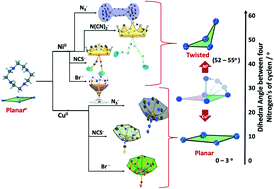 Graphical abstract: Structurally characterised new twisted conformer for cyclen, controlled by metal ion complexation as seen in NiII and CuII complexes with halides and pseudohalides