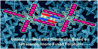 Graphical abstract: Solvent-regulated biomorphs from the intense π,π-mediated assemblies of tetracenequinone fused porphyrin