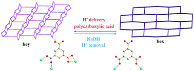 Graphical abstract: Cobalt(ii) coordination polymers constructed from bis(N-pyrid-3-ylmethyl)adipoamide and polycarboxylic acids: reversible structural transformation upon proton delivery and removal