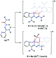 Graphical abstract: Lead(ii) supramolecular structures formed through a cooperative influence of the hydrazinecarbothioamide derived and ancillary ligands