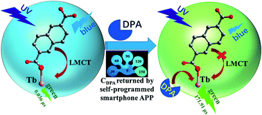 Graphical abstract: A ratiometric fluorescent sensor made of a terbium coordination polymer for the anthrax biomarker 2,6-dipicolinic acid with on-site detection assisted by a smartphone app