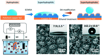 Graphical abstract: Bioinspired self-cleaning surface with microflower-like structures constructed by electrochemically corrosion mediated self-assembly