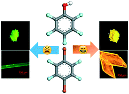 Graphical abstract: Influence of additives on the polymorphic manipulation of organic fluorescent crystals and its mechanism