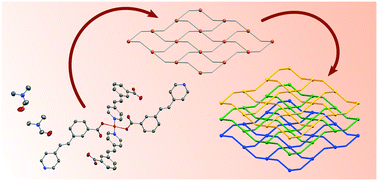 Graphical abstract: Experimental and theoretical studies of a pyridylvinyl(benzoate) based coordination polymer structure