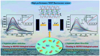 Graphical abstract: A Cd-MOF fluorescence sensor with dual functional sites for efficient detection of metal ions in multifarious water environments