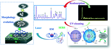 Graphical abstract: A photo-responsive p-Si/TiO2/Ag heterostructure with charge transfer for recyclable surface-enhanced Raman scattering substrates