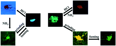 Graphical abstract: A triphenylamine derivative and its Cd(ii) complex with high-contrast mechanochromic luminescence and vapochromism