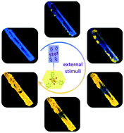 Graphical abstract: Multiple stimuli triggered structural isomerization of copper iodide–pyridine crystals