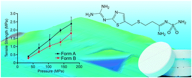 Graphical abstract: Mechanical anisotropy and tabletability of famotidine polymorphs