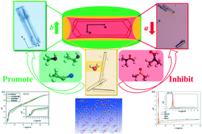 Graphical abstract: Understanding the role of solvent in regulating the crystal habit