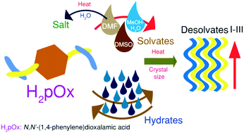 Graphical abstract: Microcrystalline solid–solid transformations of conformationally-responsive solvates, desolvates and a salt of N,N′-(1,4-phenylene)dioxalamic acid: the energetics of hydrogen bonding and n/π → π* interactions