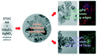 Graphical abstract: Kinetics-controlled synthesis of gold–silver nanosheets with abundant in-plane cracking and their trimetallic derivatives for plasmon-enhanced catalysis