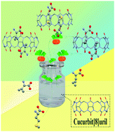 Graphical abstract: Encapsulation of l-valine, d-leucine and d-methionine by cucurbit[8]uril