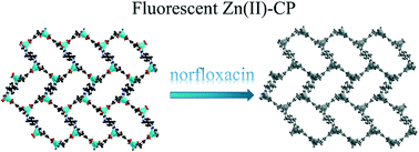 Graphical abstract: Ultrasensitive fluorescence detection of norfloxacin in aqueous medium employing a 2D Zn(ii)-based coordination polymer