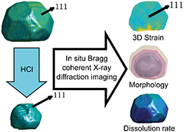 Graphical abstract: In situ Bragg coherent X-ray diffraction imaging of corrosion in a Co–Fe alloy microcrystal