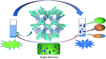 Graphical abstract: Three-fold interpenetrated metal–organic framework as a multifunctional fluorescent probe for detecting 2,4,6-trinitrophenol, levofloxacin, and l-cystine