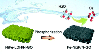 Graphical abstract: LDH-derived phosphide/N-doped graphene oxide hierarchical electrocatalyst for enhanced oxygen evolution reaction