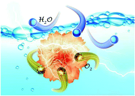 Graphical abstract: A highly active oxygen evolution electrocatalyst derived from Co/Ni-succinic acid framework under mild conditions