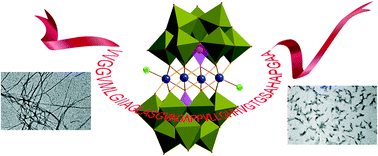 Graphical abstract: A {Cd4Cl2O14} cluster functionalized sandwich-type tungstoarsenate as a conformation modulator for misfolding Aβ peptides