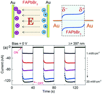 Graphical abstract: An ion migration induced self-powered photoelectrical detector based on FAPbBr3 single crystals